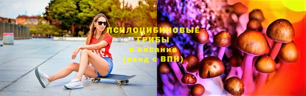 mix Богородицк