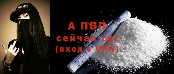 СК Белокуриха