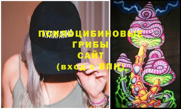 mix Богородицк