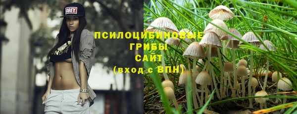 mix Богородицк