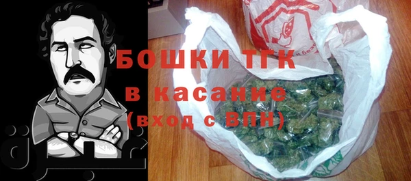 mix Богородицк