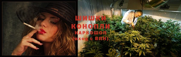 скорость Богородск