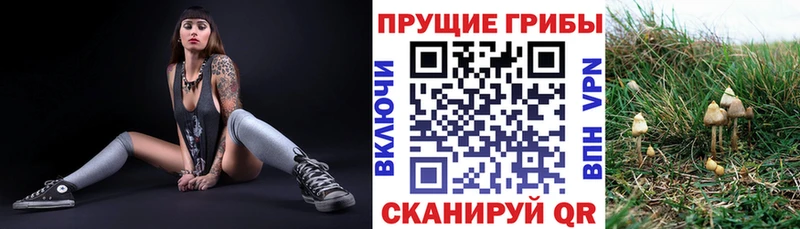 Галлюциногенные грибы мухоморы купить наркотики цена Кологрив